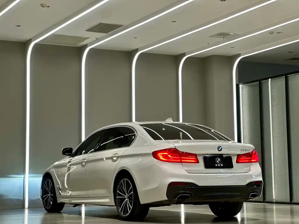 BMW 5 Series 2020 — фото 10