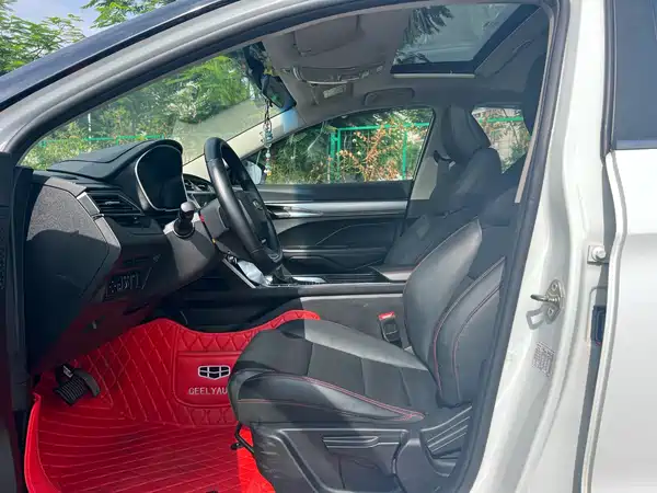Geely Binrui 2020