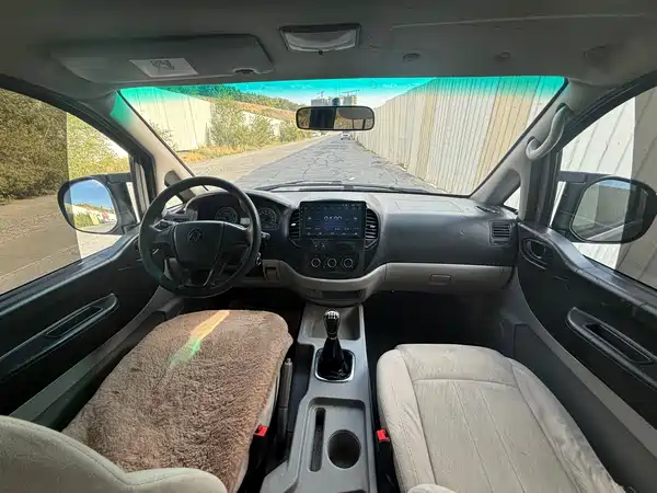 Dongfeng Lingzhi 2018