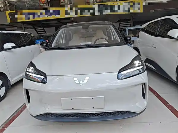 Wuling Bingo PLUS 2024