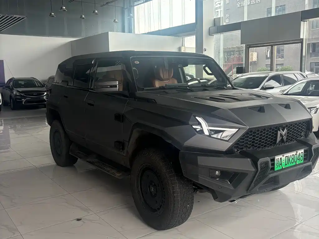 Mengshi 917 2024
