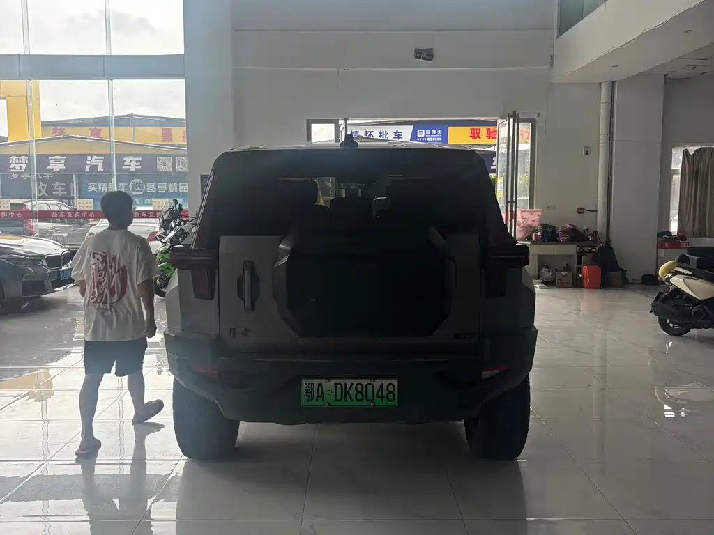 Mengshi 917 2024