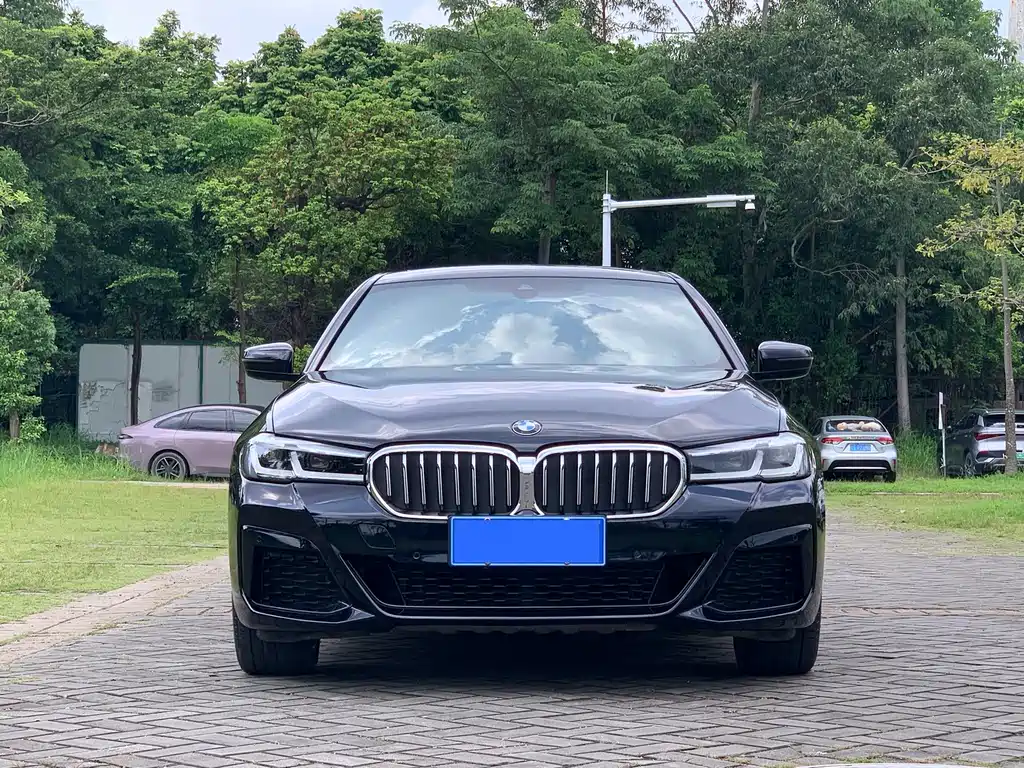 BMW 5 Series 2021