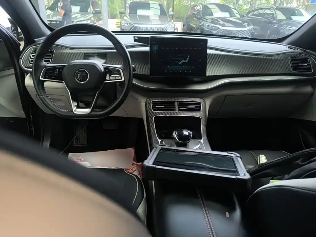 BYD Qin PLUS 2021 — фото 10