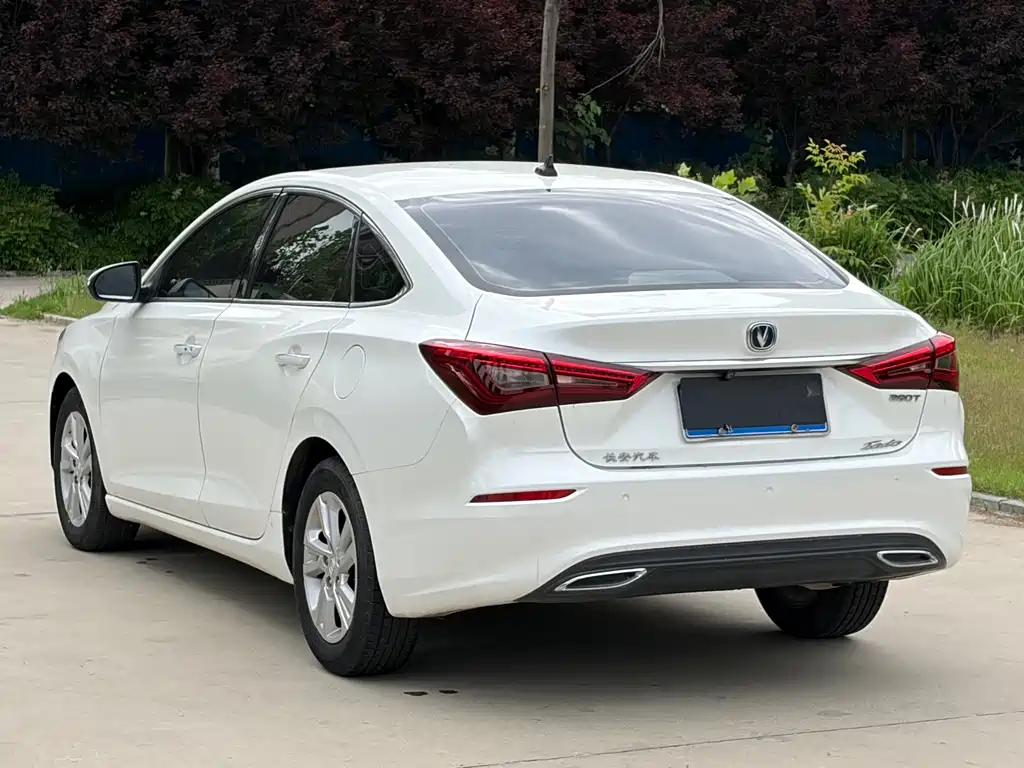 Changan Eado 2019 — фото 16