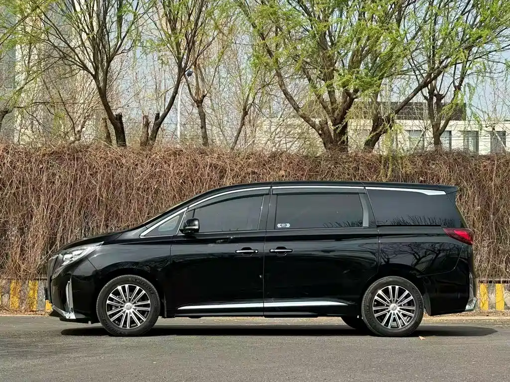 GAC Motor Trumpchi M8 2022 — фото 10