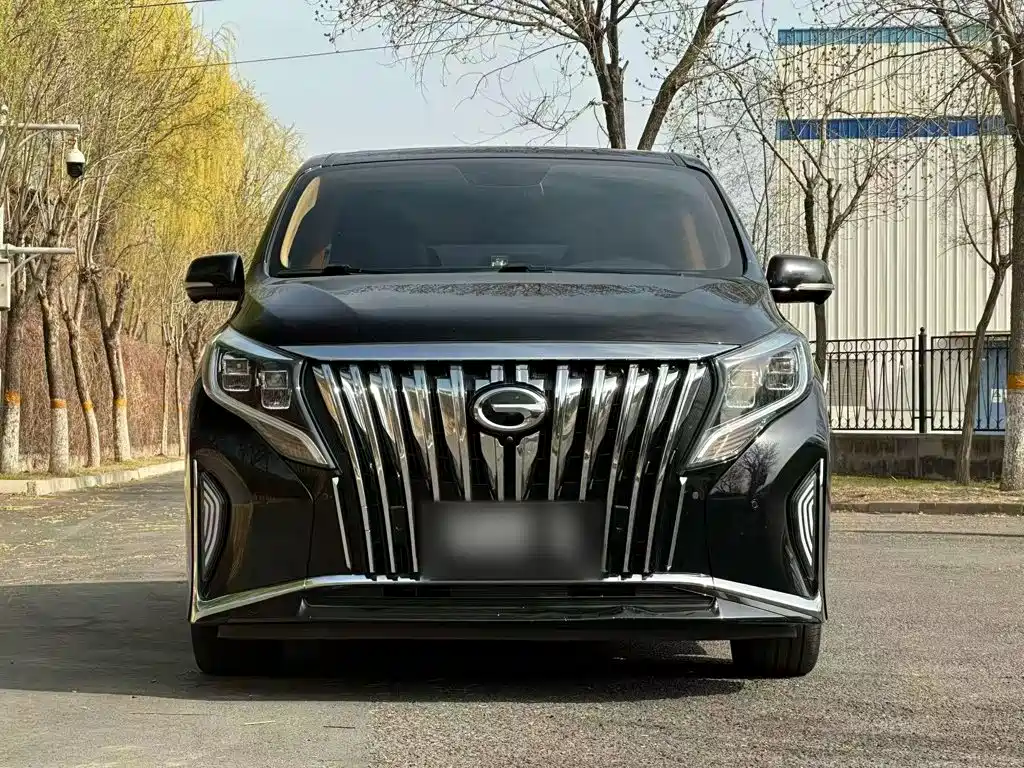 GAC Motor Trumpchi M8 2022 — фото 8