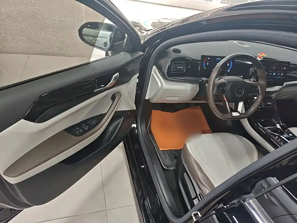 BYD Qin PLUS 2024 — фото 16