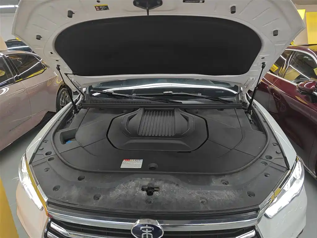 BYD Pro New Energy 2020 — фото 16