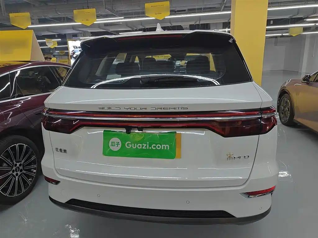 BYD Pro New Energy 2020 — фото 4