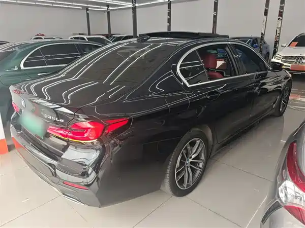 BMW 5 Series New Energy 2021