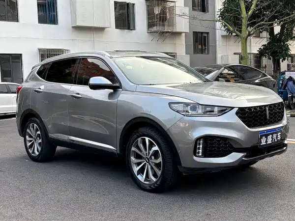 Wey VV6 2019