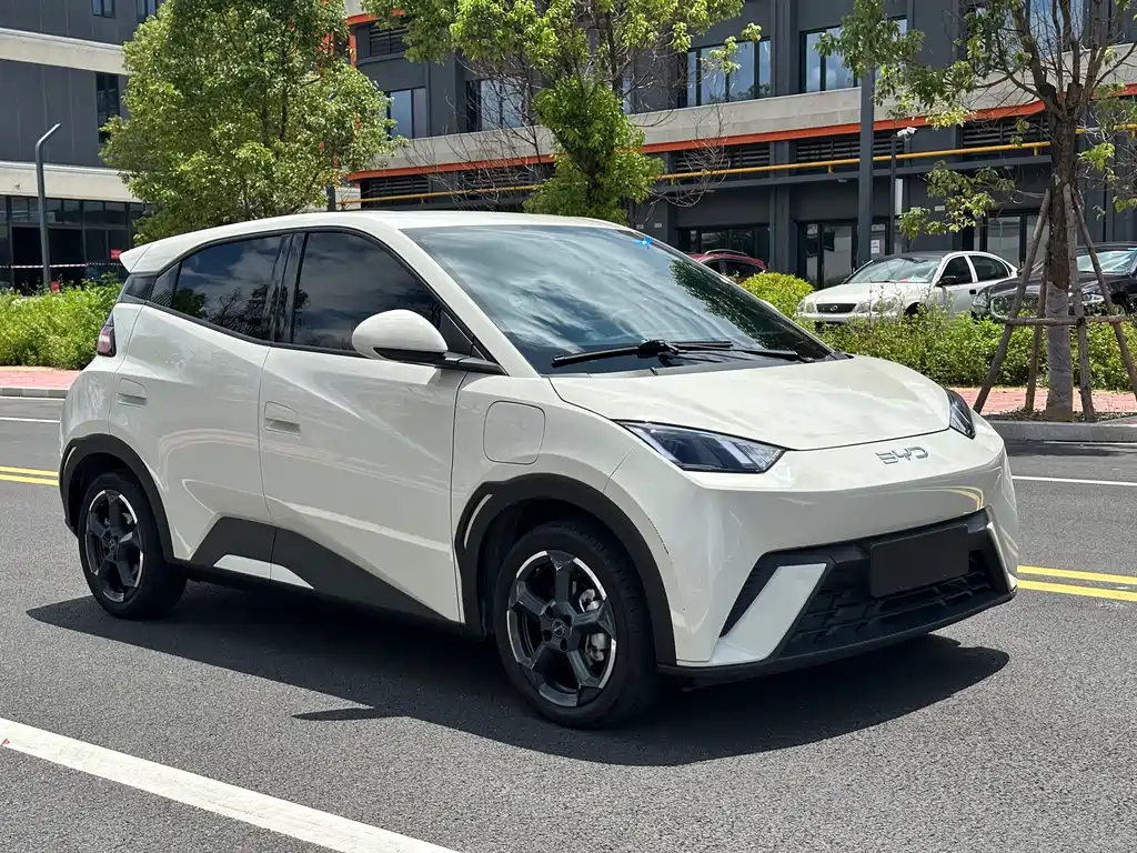 BYD Seagull 2024