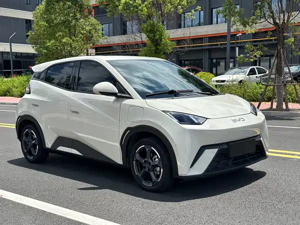 BYD Seagull 2024