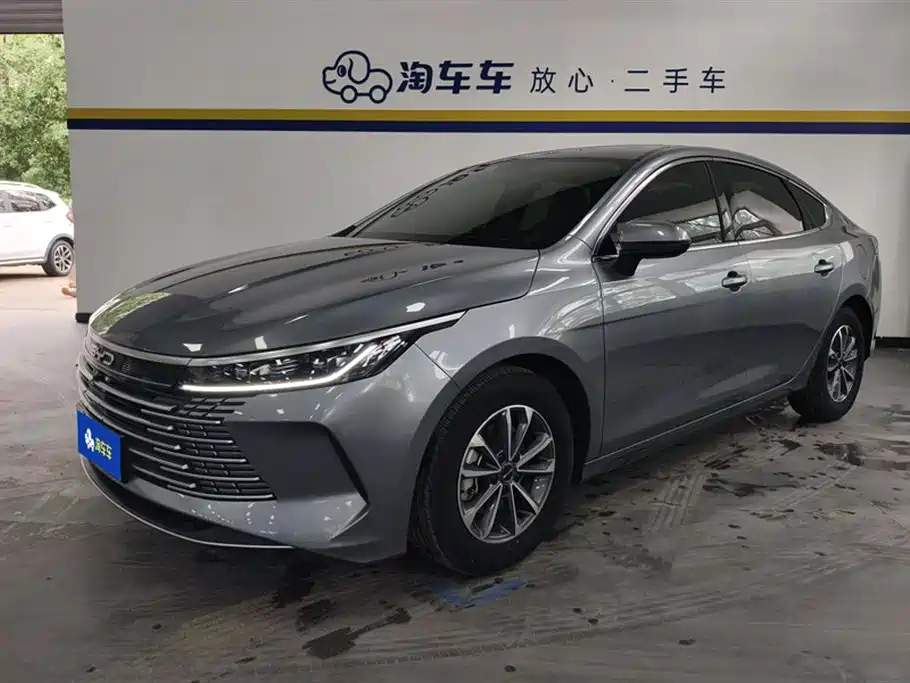 BYD Destroyer 05 2024 — фото 1