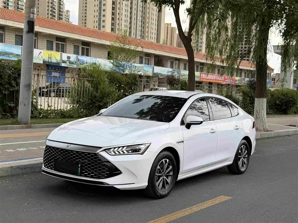 BYD Qin PLUS 2024 — фото 1