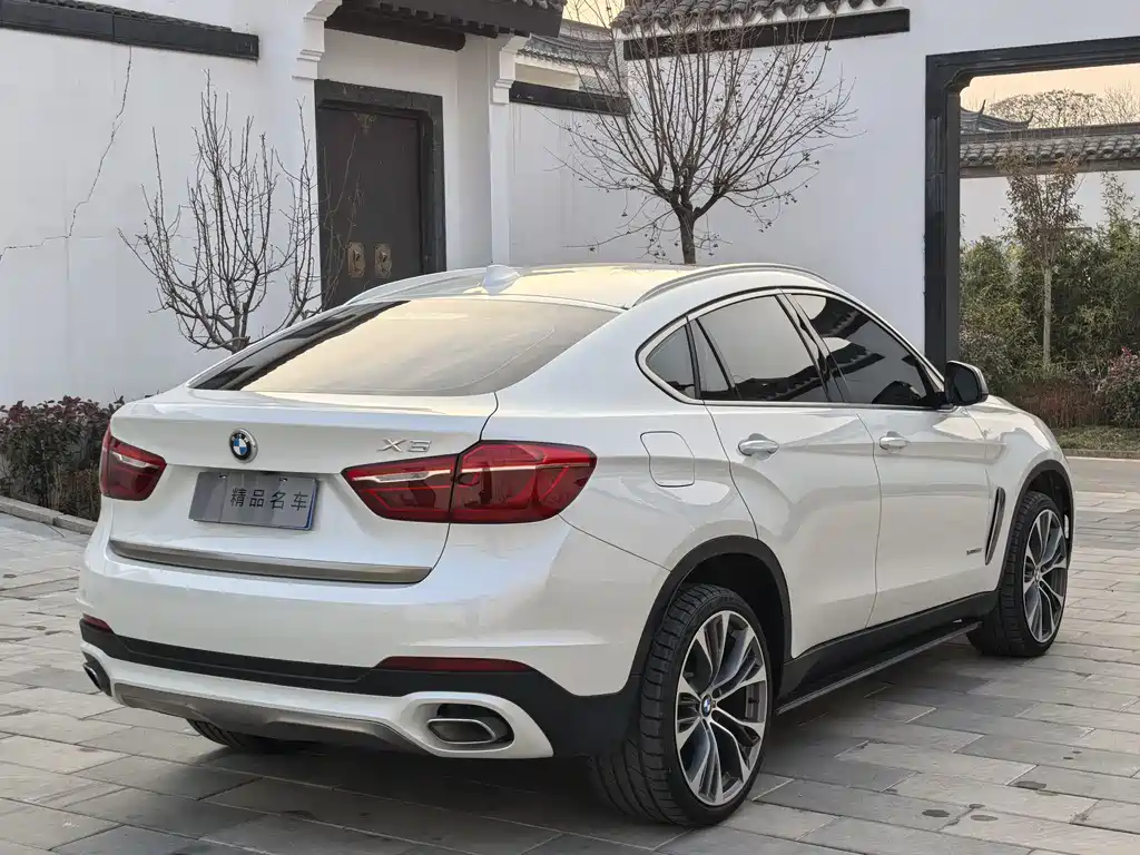 BMW X6 2018 — фото 6