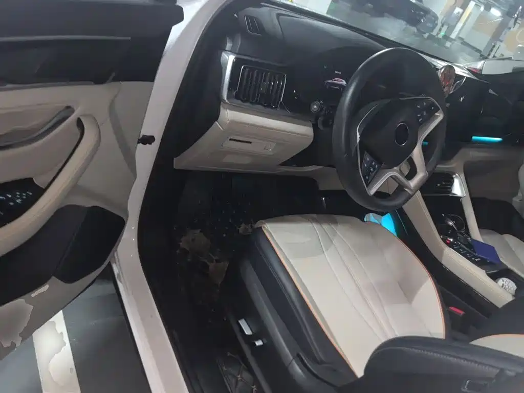 BYD PLUS New Energy 2021 — фото 14