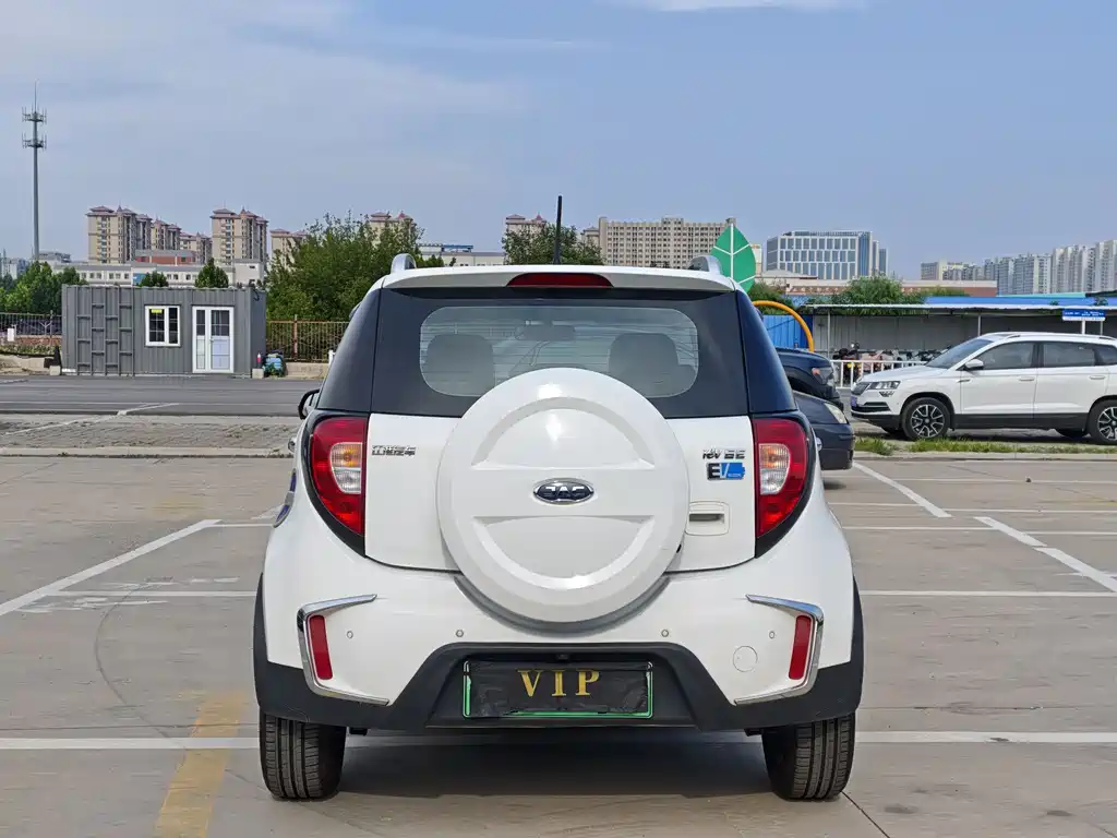JAC iEV6E 2019