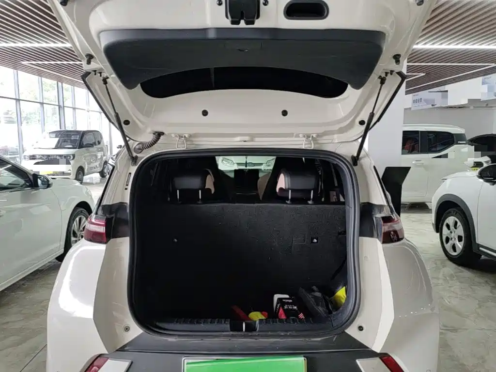 BYD Seagull 2025 — фото 19