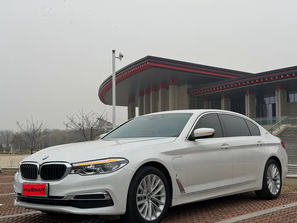 BMW 5 Series New Energy 2019