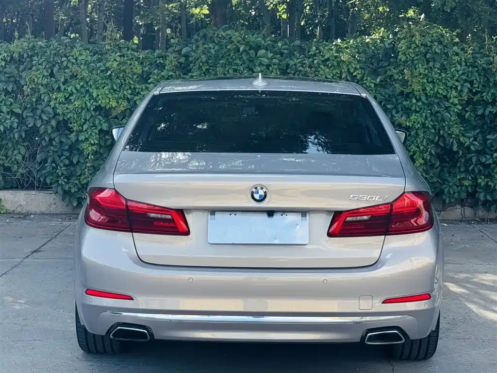 BMW 5 Series 2019