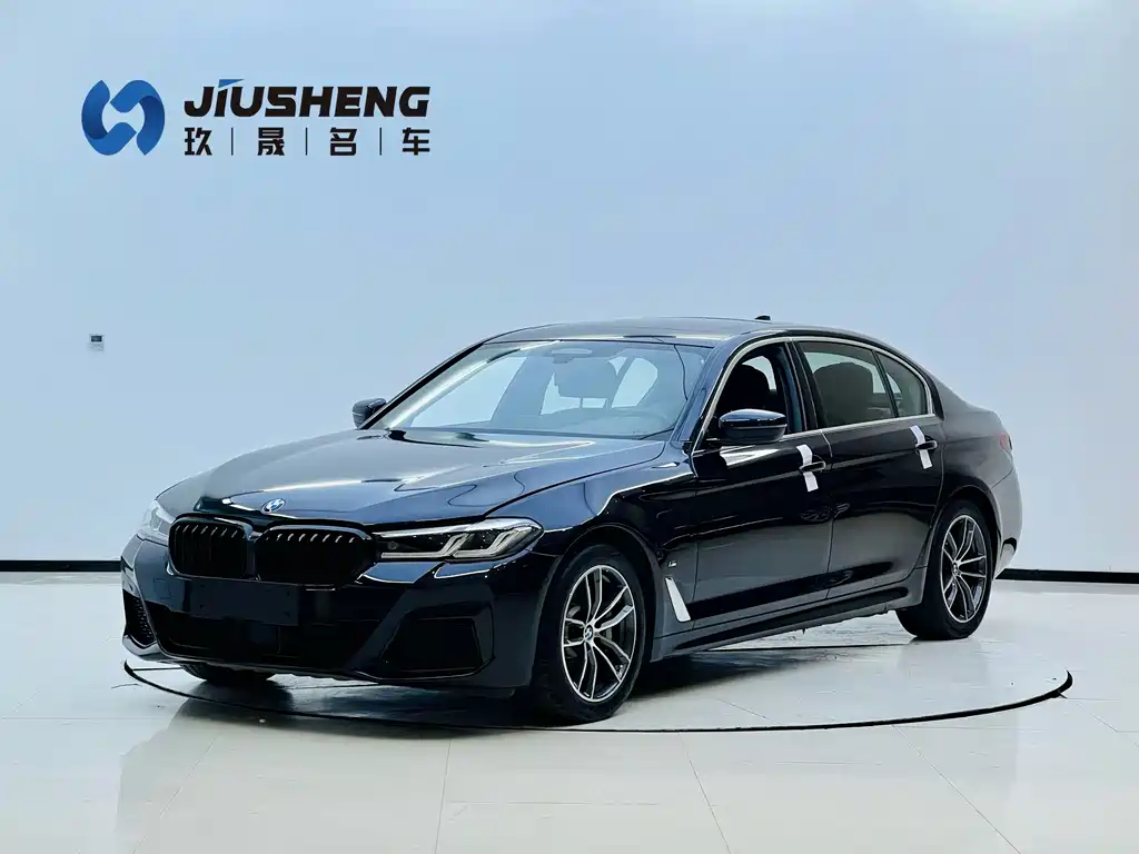 BMW 5 Series New Energy 2021 — фото 1