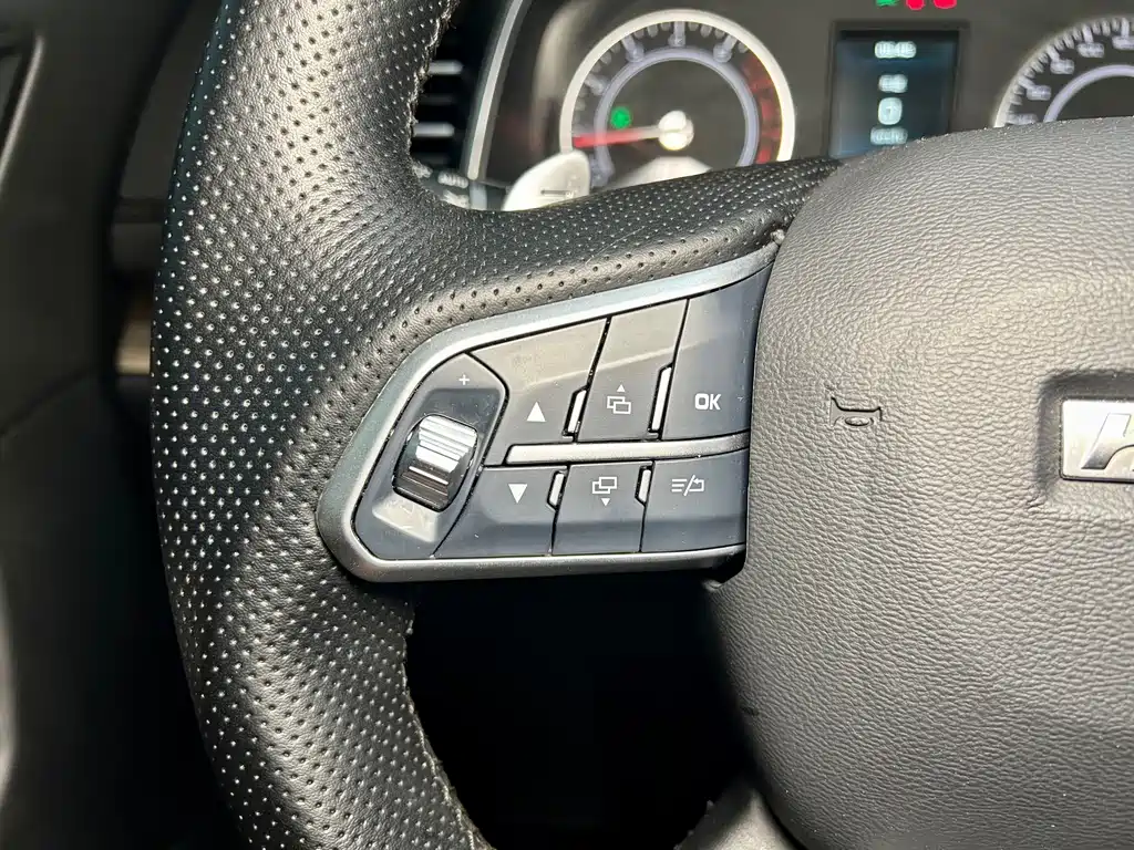 Haval H6 2021 — фото 12