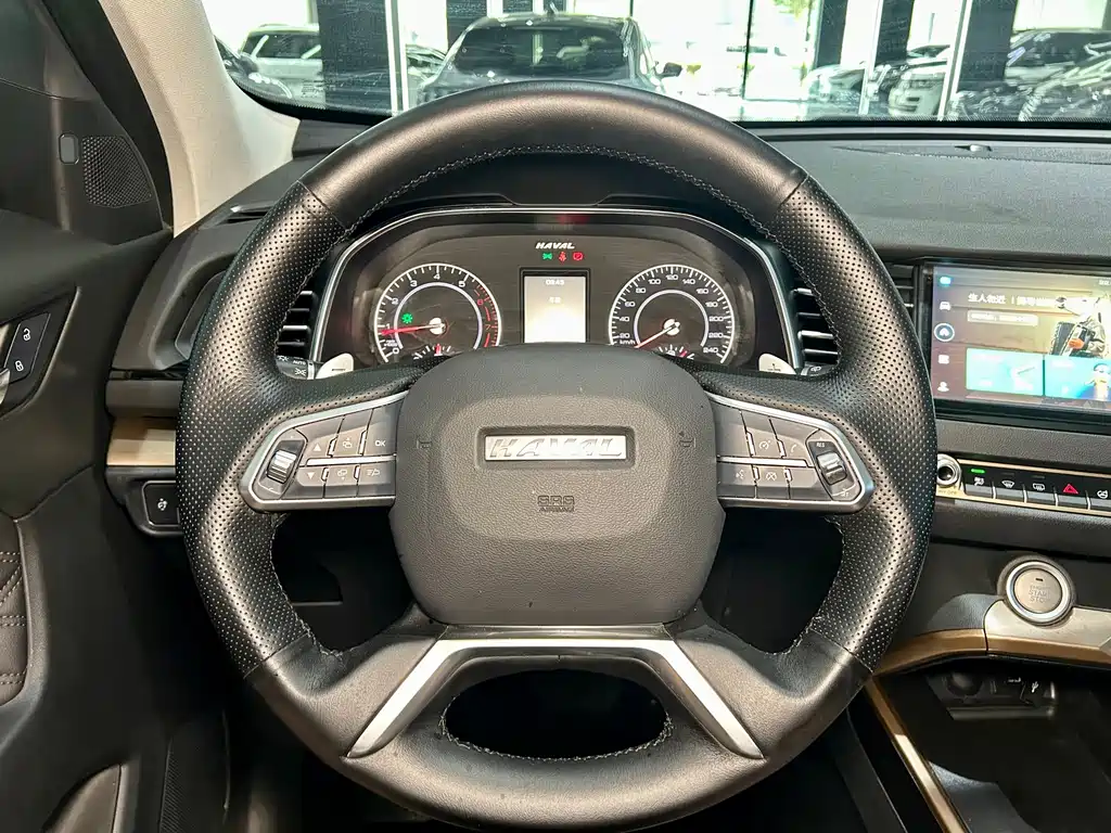 Haval H6 2021 — фото 11