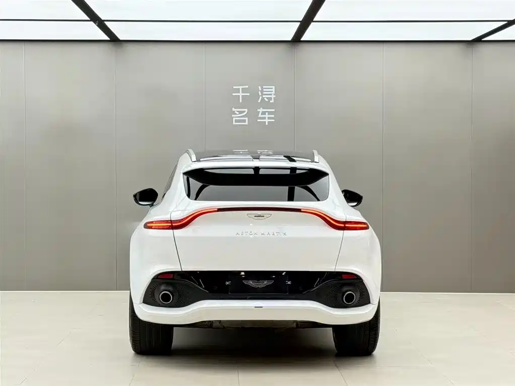 Aston Martin DBX 2021 — фото 16