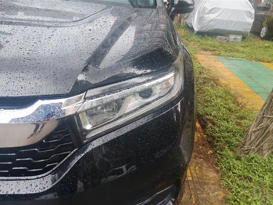 Honda Avancier 2019