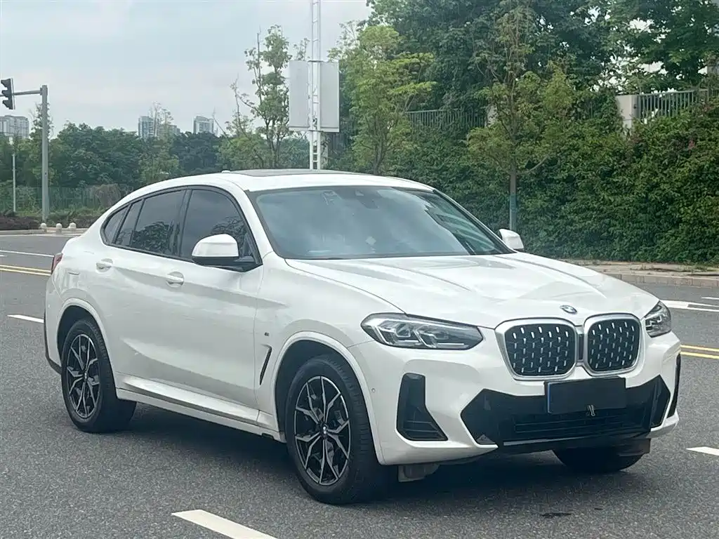 BMW X4 2022