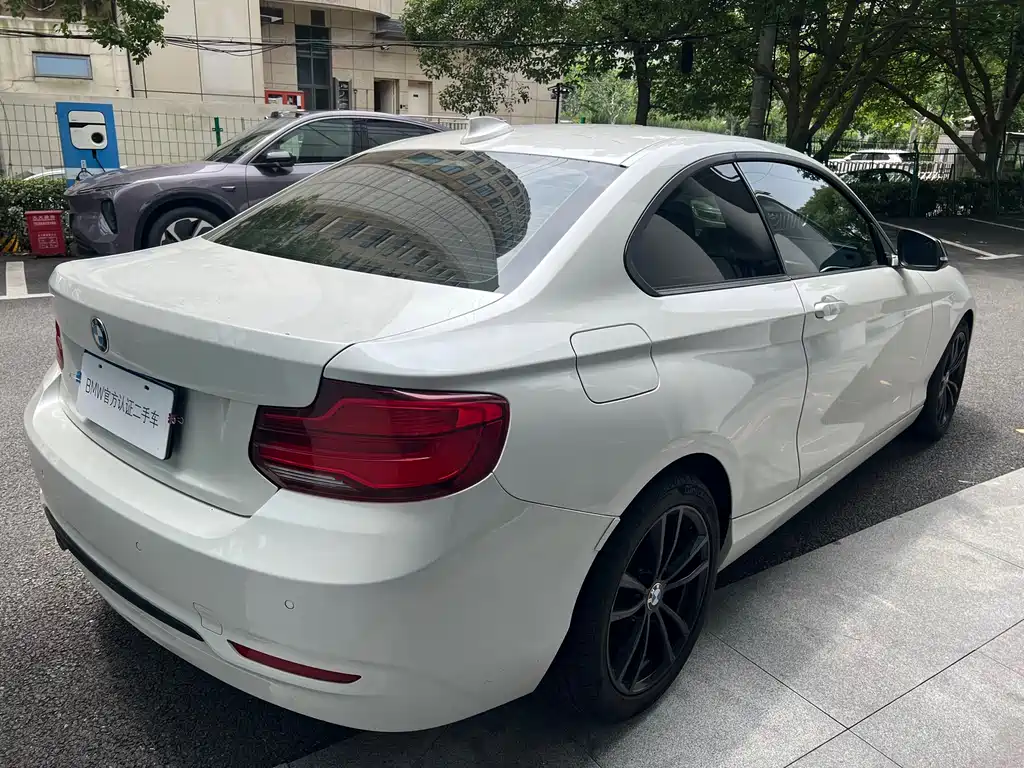 BMW 2 Series 2019