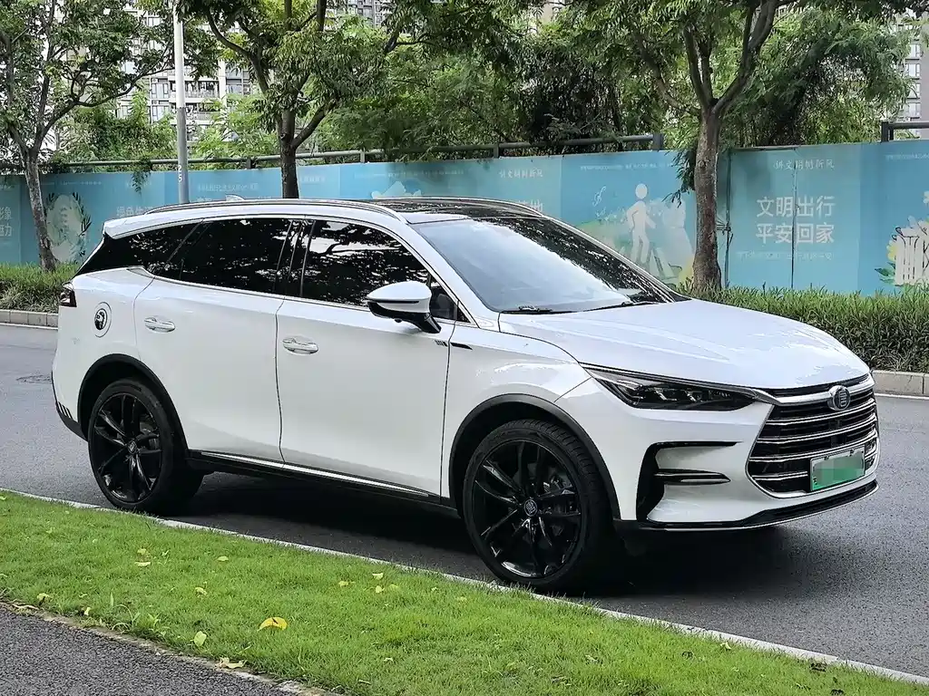 BYD Tang New Energy 2020