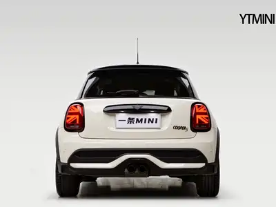 MINI MINI 2022