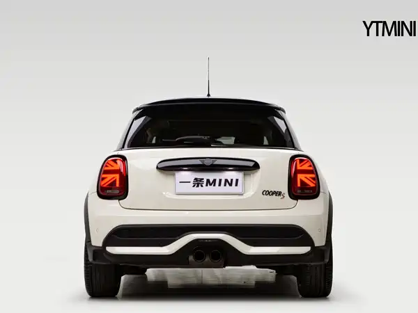 MINI MINI 2022