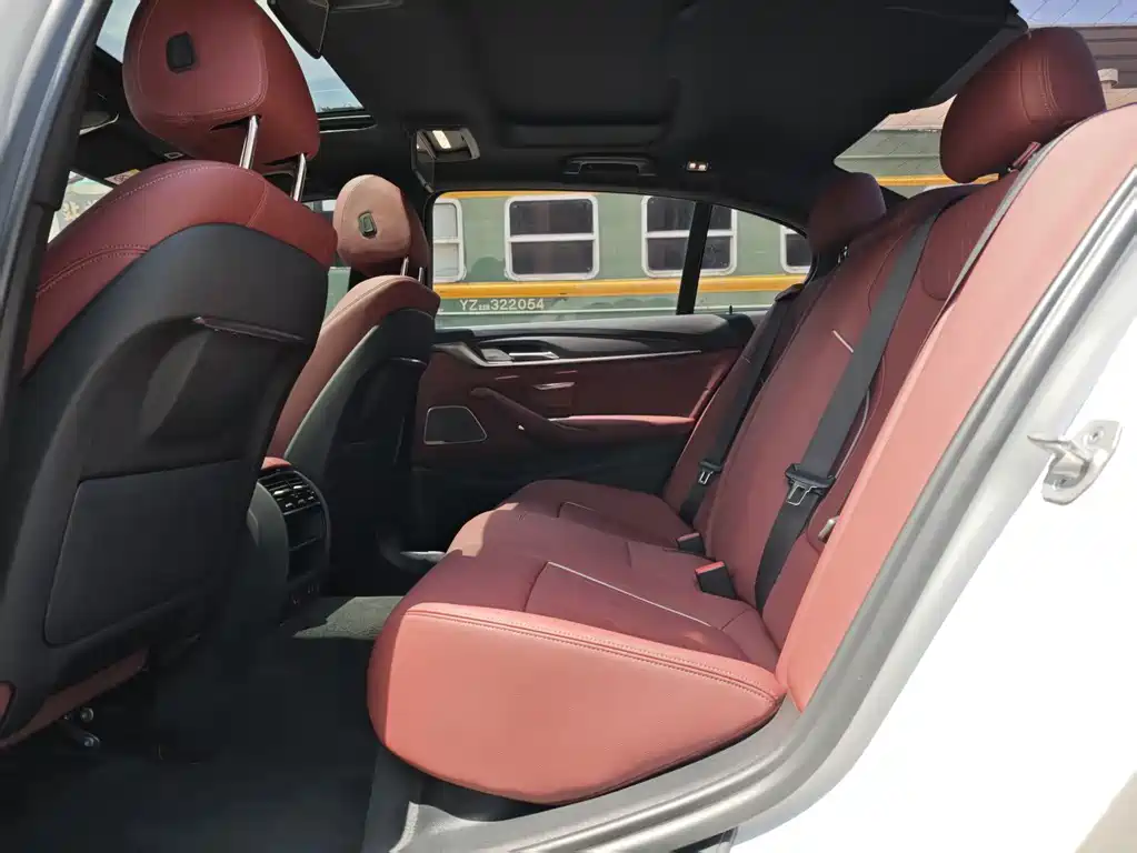 BMW 5 Series New Energy 2021