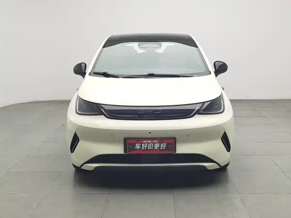 BYD Dolphin 2025