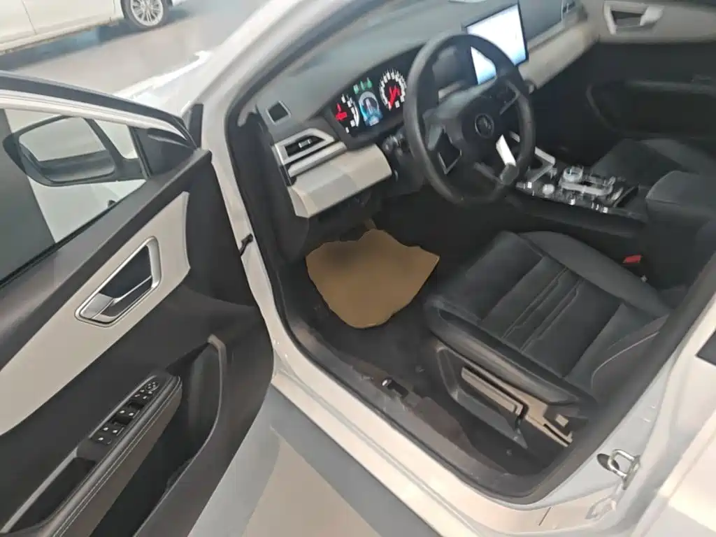 BYD Qin NEV 2024 — фото 16