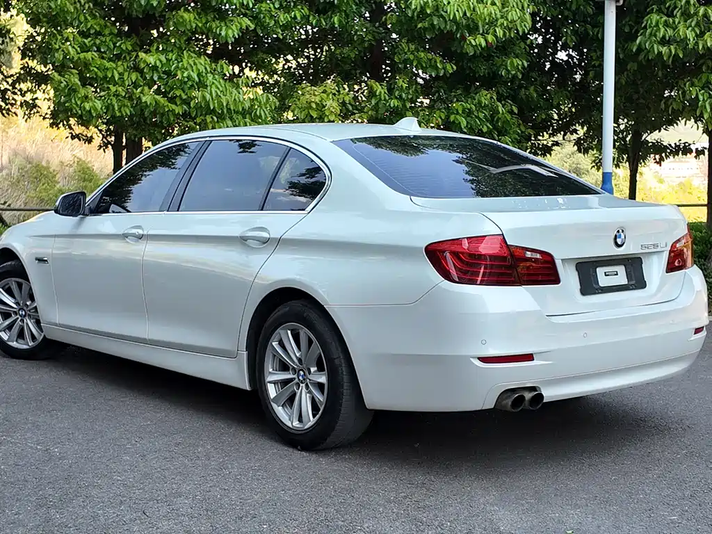 BMW 5 Series 2014