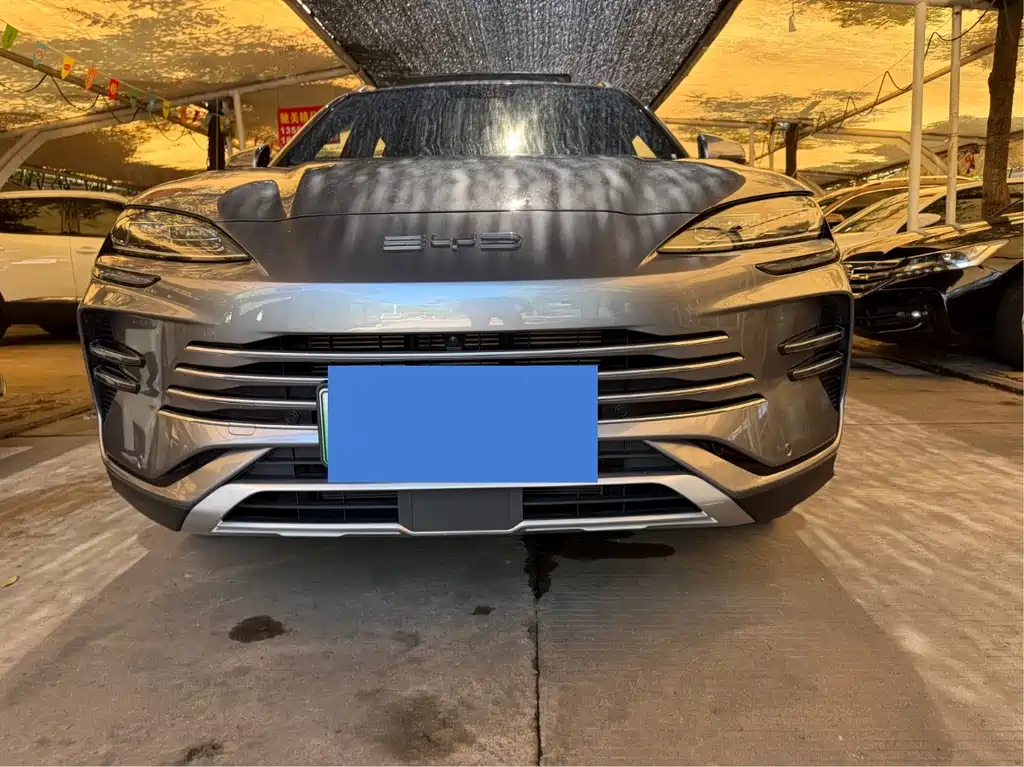 BYD Song PLUS New Energy 2024 — фото 1