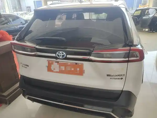 Toyota Wildlander 2020