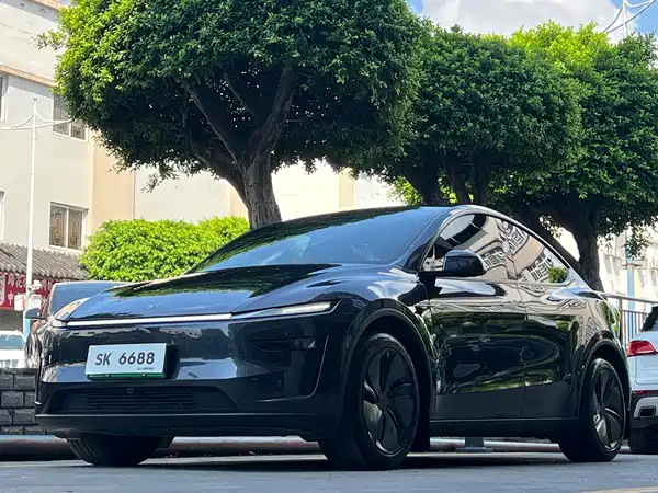 Tesla Model Y 2025