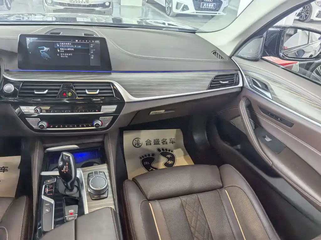 BMW 5 Series New Energy 2020 — фото 15