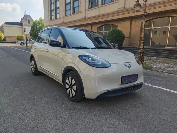 Wuling Bingo 2024