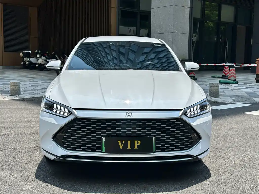 BYD Qin PLUS 2024 — фото 2