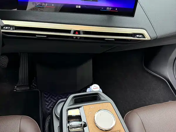 BMW iX 2022