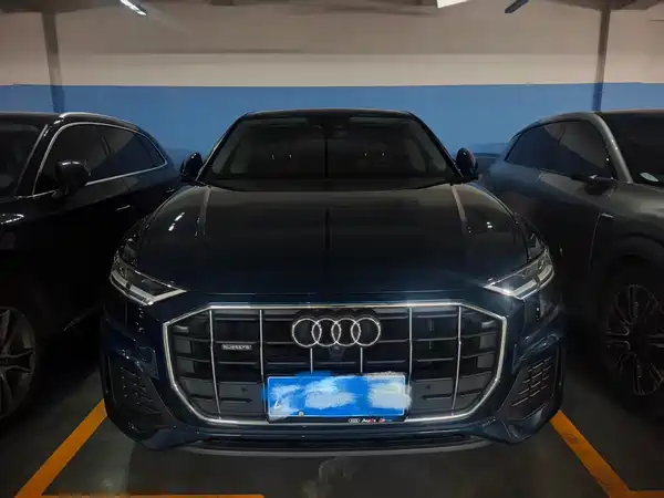 Audi Q8 2020