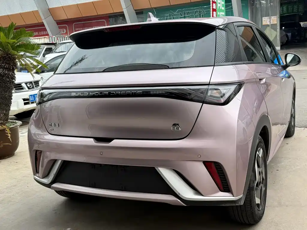 BYD Dolphin 2022