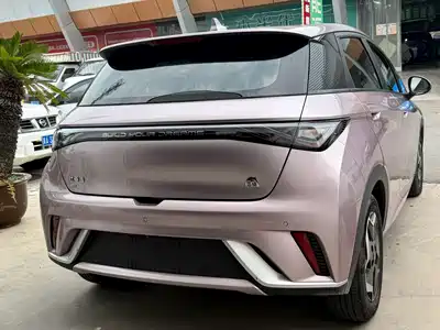 BYD Dolphin 2022